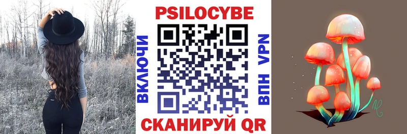 blacksprut как войти  Саранск  Галлюциногенные грибы ЛСД 