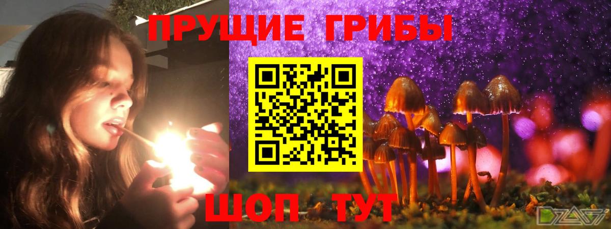 Саранск  Псилоцибиновые грибы Magic Shrooms  Вход с VPN 